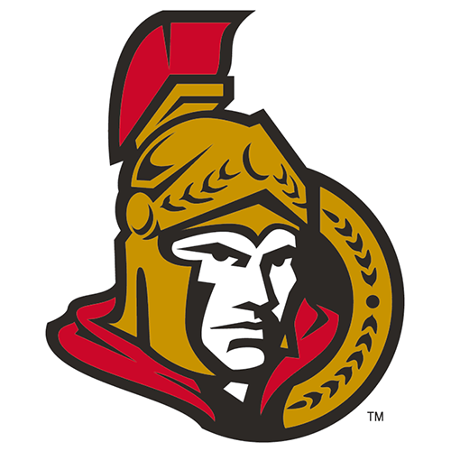 Ottawa Senators iron ons